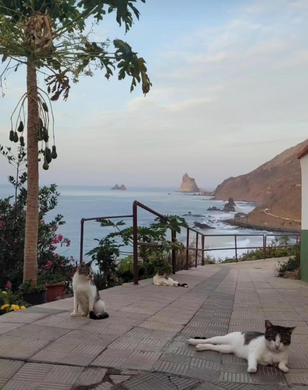 Casa Manolo Paraiso Beach Trail Almaciga Exterior photo